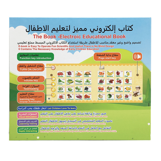 Electronic educational book